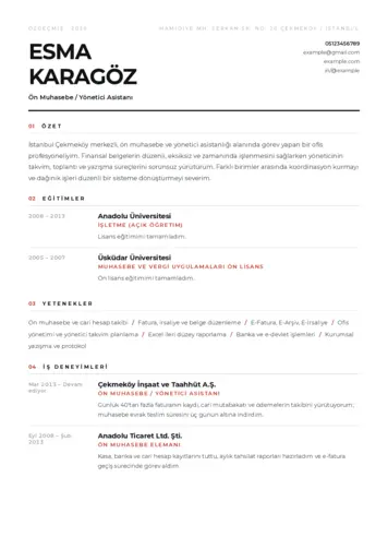 Yönetici Asistanı Cv Örnekleri cv indir